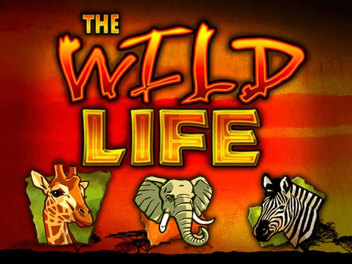 The Wild Life Play in Demo Mode – Free