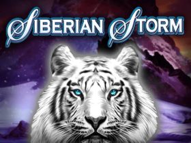 Siberian Storm Dual Play