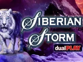 Siberian Storm Dual Play