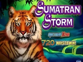 Sumatran Storm