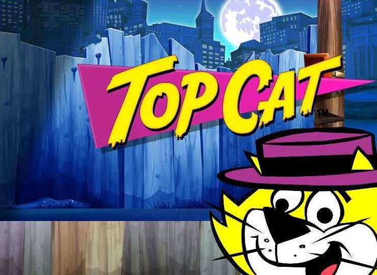 Top Cat