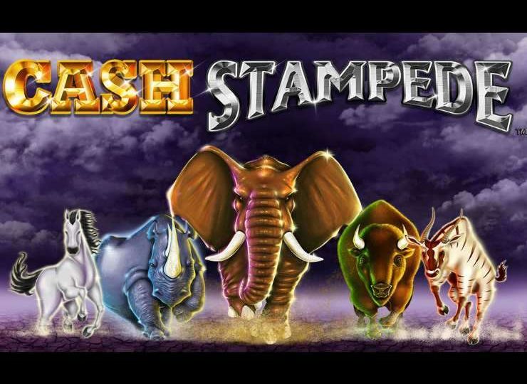 Cash Stampede