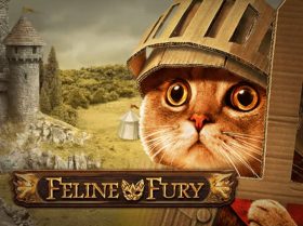 Feline Fury