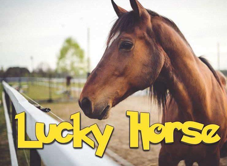 Lucky Horse